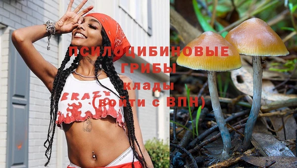 меф Богородск