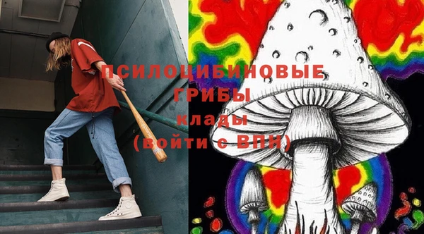 меф Богородск